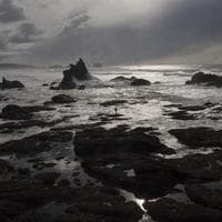 SevincƏqiq ASC loqosu