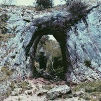 ƏczaçılıqƏczaçılıq Şirkəti loqosu
