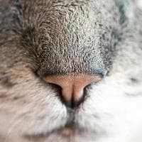 ƏqiqGünəş MMC loqosu